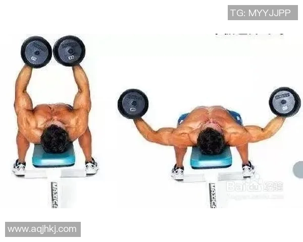 初学者必看哑铃锻炼视频轻松入门打造完美身材的全方位指导