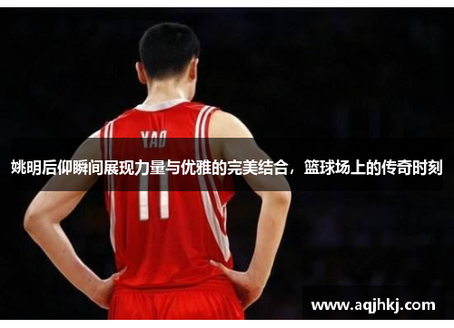 姚明后仰瞬间展现力量与优雅的完美结合，篮球场上的传奇时刻
